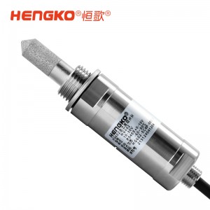 恒歌602-C系列露點(diǎn)測(cè)量儀_冷干機(jī)專用露點(diǎn)儀